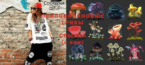 таблы Туринск