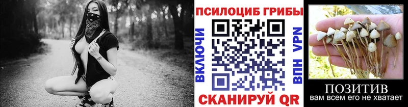 Псилоцибиновые грибы мицелий  Новая Ладога 